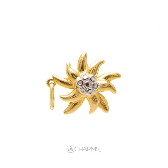 Charm Charms in Plata CS0511-AG - CS0511-AG